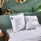 Lot de 2 Oreillers 65x65 cm Sensation Duvet Premium - Confort Souple à Ferme - Double Passepoil - Enveloppe 100% coton - BLEU CALIN