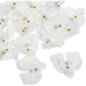 FLEUR ARTIFICIELLE 20 têtes d'orchidées artificielles en soie Phalaenopsis pour mariage et décoration - Blanc