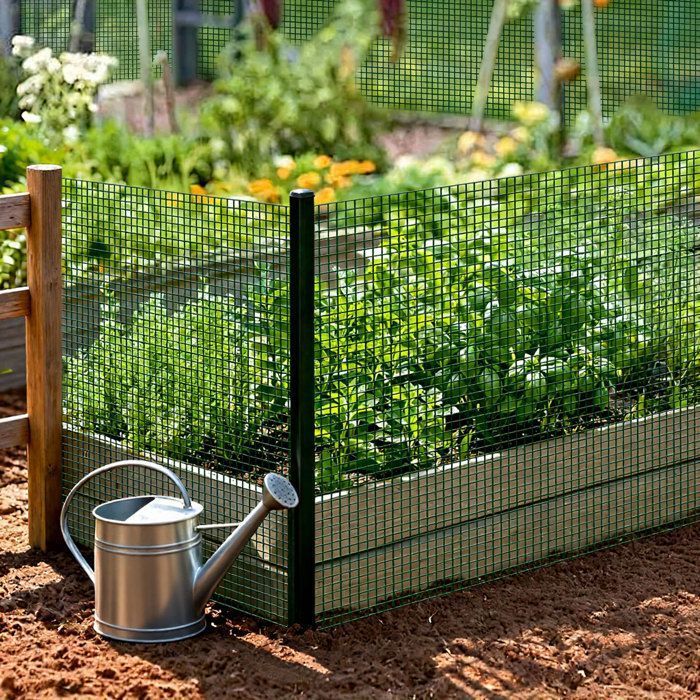 Grillage métallique - Plastifié vert foncé - 1 x 10 m - Maille 12 x 12 mm - Résistant intempéries