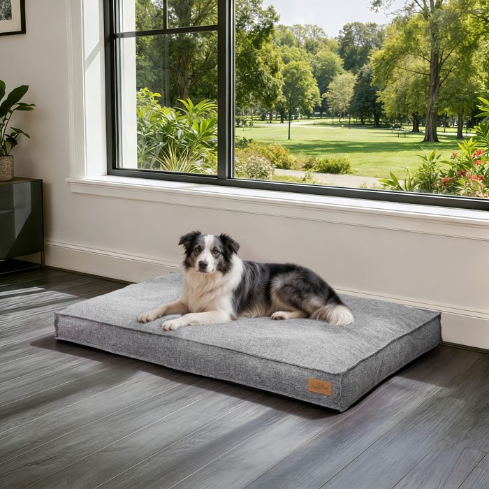 Panier Chien Orthopédique - BingoPaw - Lit pour Chien Coussin Déhoussable pour Chiens Anti-dérapant - Gris 118x89x12cm