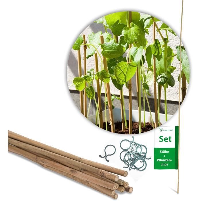 Lot De 30 Tuteurs Bambou Naturel 120 Cm - Tiges Soutien Plantes Grimpantes Robuste Et Écologique - Diamètre 10-12 Mm Idéal Rosiers, Tomates, Légumes