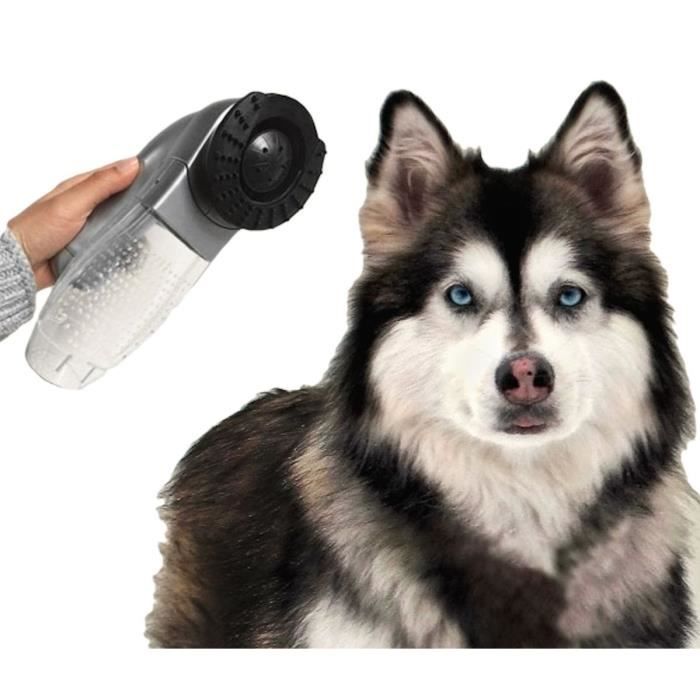 Masseur Aspirateur De Poils Sans Fil Pour Chien Et Chat