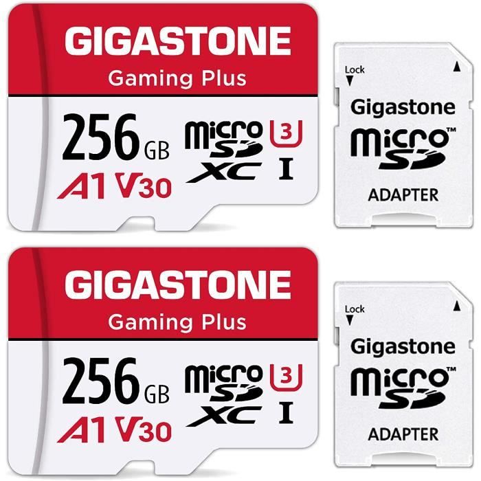 Carte Micro SD 256 Go, carte flash microSDXC UHS-I, jusqu'à 100 Mo