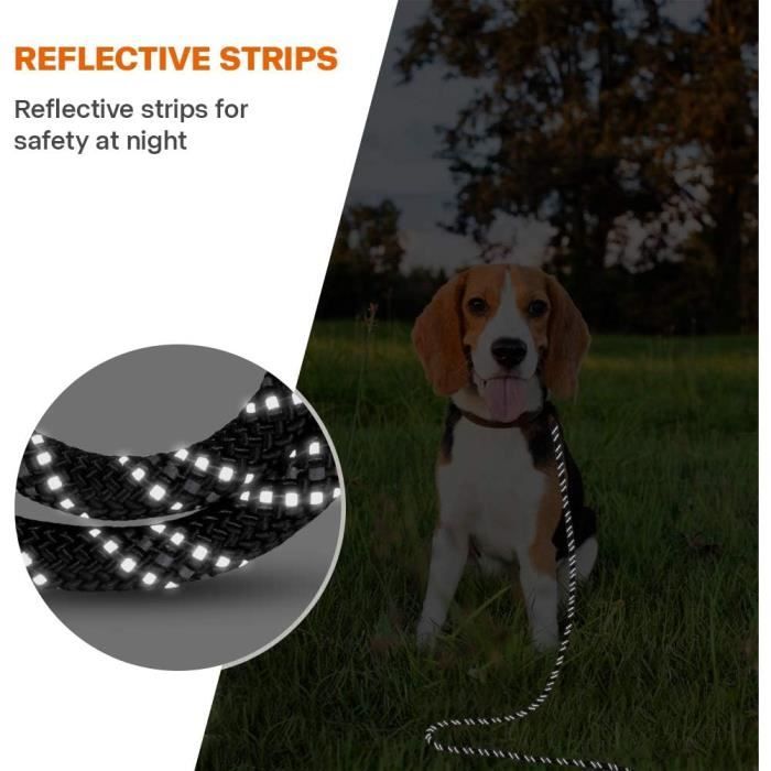 Longe Pour Chien 10 Mètres - Laisse De Dressage Résistante - Mousqueton Verrouillable - Pour Petit, Moyen Et Grand Chien - Noir