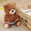 nounours musical