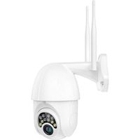 Caméra de sécurité caméras dôme 1080P 10LED lumières jour nuit polychrome 360 ​​degrés rotation caméra WiFi sans fil extérieur IP66 