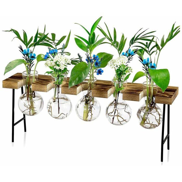 Meilleurs prix pour Stations de Propagation Terrarium de Plantes Air de Bureau Vase en Verre avec Support en Bois - Terrarium pour Plantes YYV