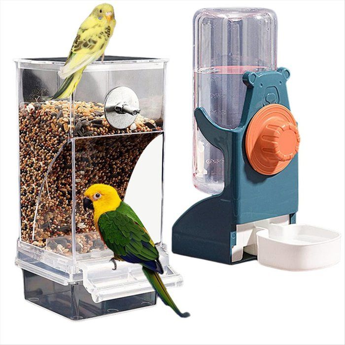 Ensemble Distributeur DEau et Mangeoire pour Oiseaux Mangeoire Automatique pour Perroquets Accessoires pour Cage Récipient pour