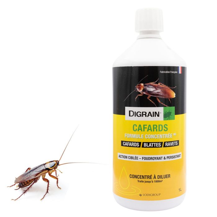 DIGRAIN Cafards Formule Concentrée 1 litre – Insecticide Cafards & Blattes