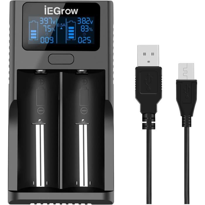 Chargeur USB Unique Pour Batteries Lithium 18650, 26650, 21700, Etc. - 4,2V 2000mA - Avec Adaptateur Type-C
