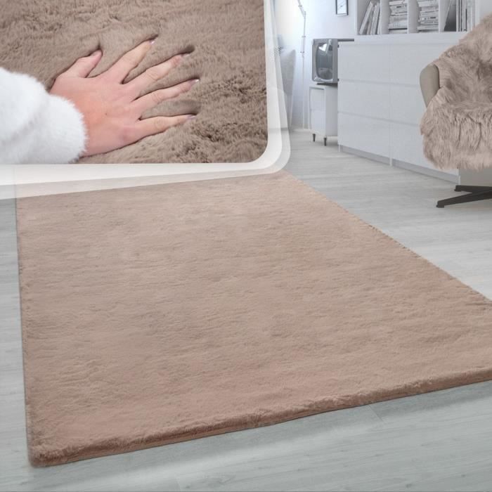 Tapis À Poils Longs, Tapis Shaggy Pour Salon, Doux Uni, Beige [60x90 cm]