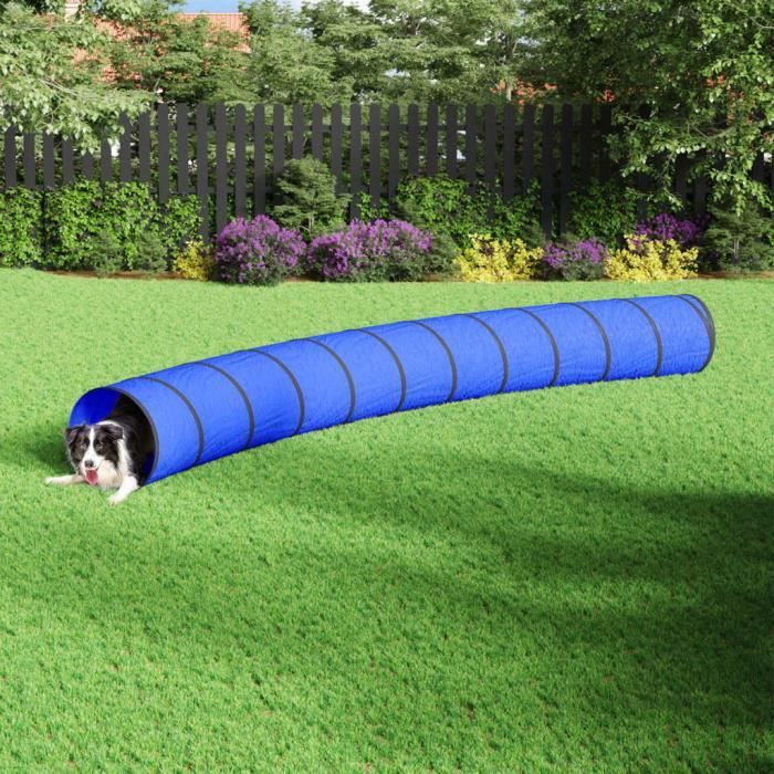 vidaXL Tunnel pour chien bleu Ø 55x500 cm polyester 172191