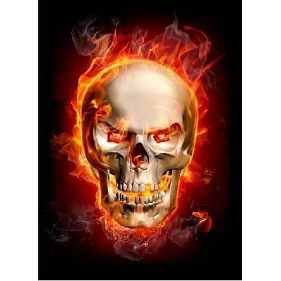 Affiche Poster Tete De Mort En Feu Dimensions Affiches 106x70cm Cdiscount Maison