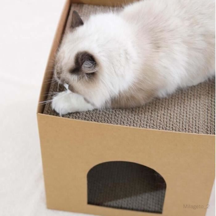 Lit à gratter pour chat, décoration de maison créative en carton maison pour  chat - Cdiscount Animalerie