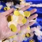 6000 Pi/èces 4 Couleurs 1 Pouce Papier Confetti Ronde Tissus Confettis Confetti Papier de Table Cercle de F/ête