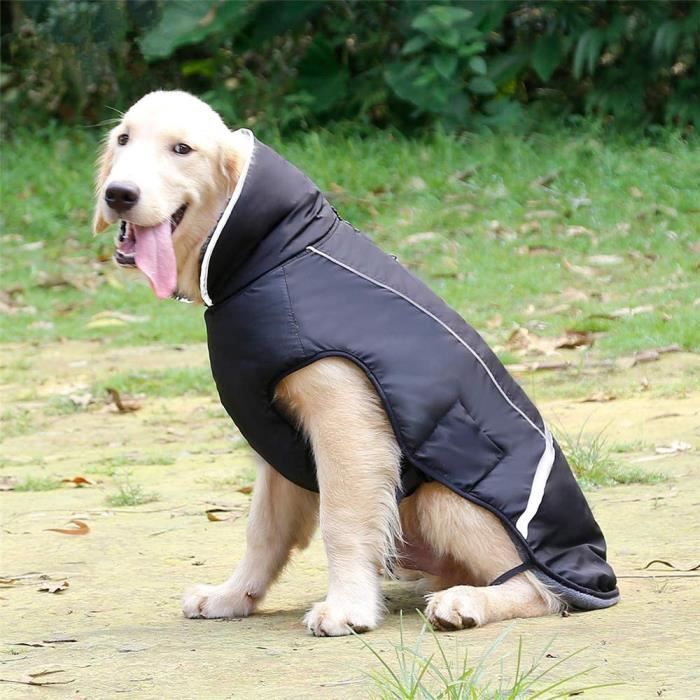Manteau pour sales le froid