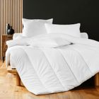 Couette 2 personnes 220 x 240 cm 400g polyester anti acarien premium - DOUCEUR D'INTERIEUR - 4 saisons