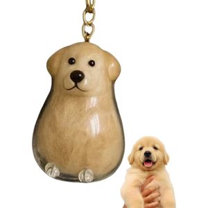 Boîte Souvenir à Poils De Chien - Porte-clés Personnalisable Pour Garder Les Poils De Ton Animal (Golden Retriever Assis)