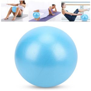 BALLON SUISSE-GYM BALL 25 cm Boule Pilates Balle d'exercice de yoga robus