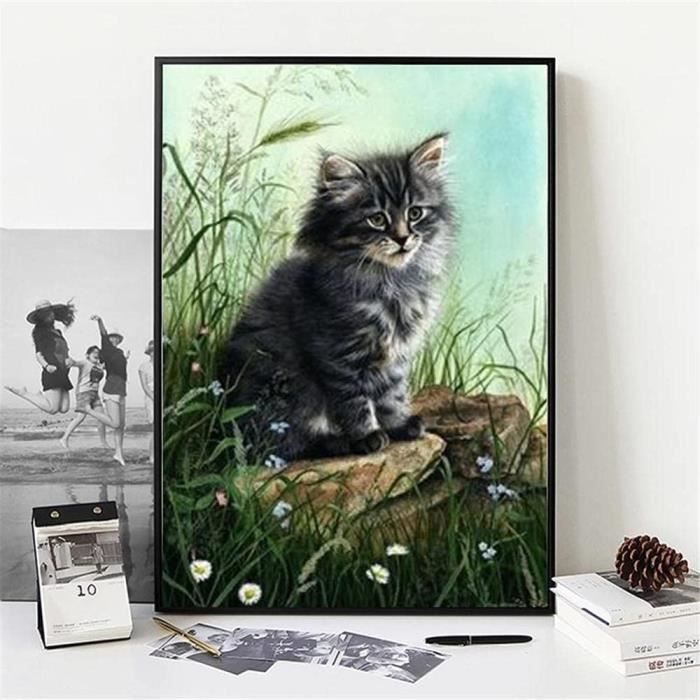 Kit Diamond Painting Chat Mafenr - Toile 30x40 Cm Avec Diamants, Stylo - Art Adulte Pour Décoration Et Cadeau