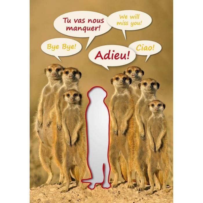 WBdesignz Carte D'adieu Amusante Avec Inscription « Gans Kollege » - Carte D 'adieu - Carrée