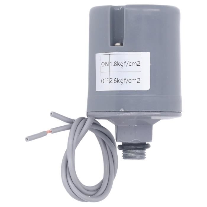 Pompe à Eau Auto-Amorçante 220V Avec Contrôleur Pression Automatique - Noir