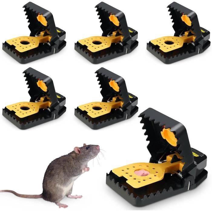 ASPECTEK Piege A Souris - Réutilisable, 6 Pièges à Rat