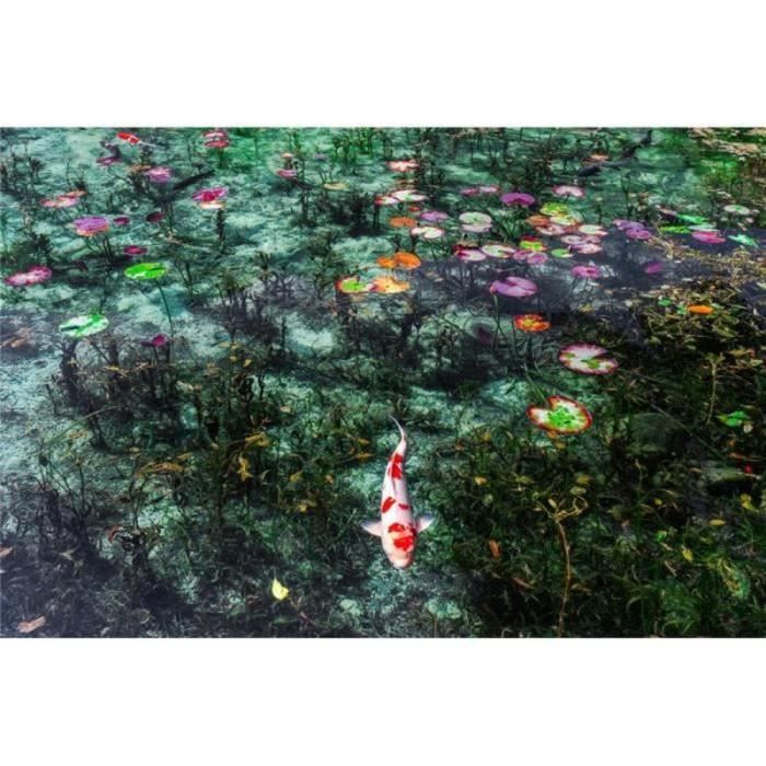 Puzzle Enfant Classique Pièces Feuille De Lotus Et Poisson Rouge dans L ...