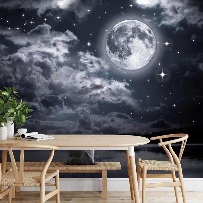 Papier Peint Intissé Mural Nuit De Pleine Lune Moderne Toison Salon ...