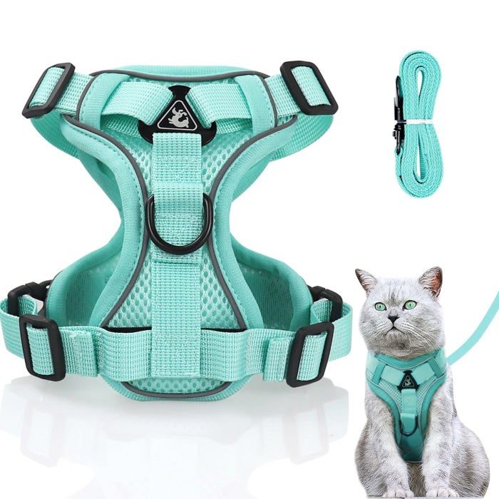 Harnais pour Chat - Anti-éclatement - Réglable - Vert Menthe - Taille S (Poitrine : 34-40cm Longueur : 15 m)