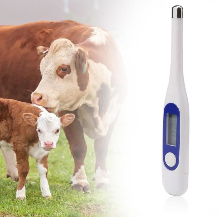 Thermometre Veterinaire Fdit Maison Animaux De Compagnie Temperature Comme Chien Chat Cheval Rac Cdiscount Pret A Porter Thermometre Veterinaire Fdit Maison Animaux De Compagnie Temperature Comme Chien Chat Cheval Rac Cdiscount Pret A Porter