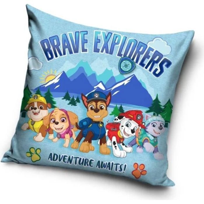 Housse de coussin pat