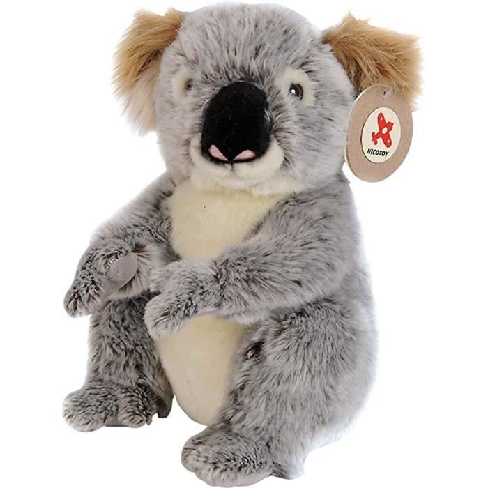 doudou koala