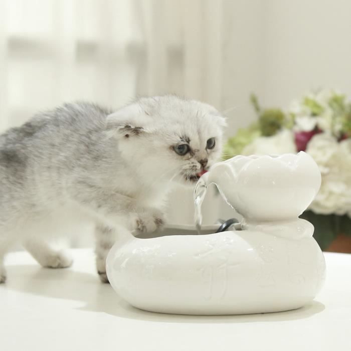 Fontaine A Eau Chat Ceramique Cdiscount