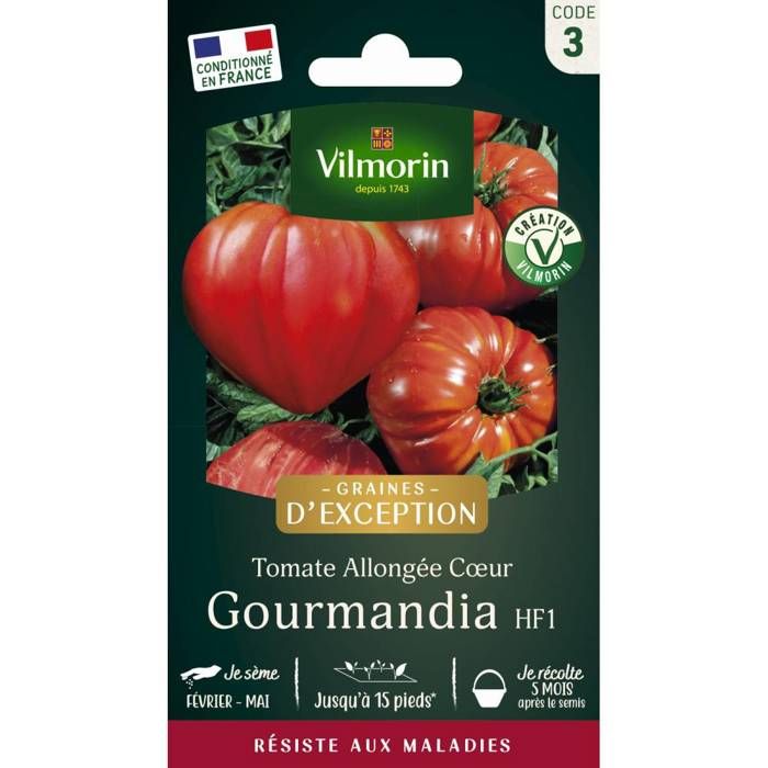 Meilleurs prix pour Sachet de Graines Tomate Gourmandia HF1- Saveur et Résistance au Jardin-