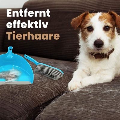 Ensemble De Pelle à Poussière Et Brosse En Caoutchouc Parfait Pour