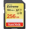 Carte mémoire flash - SANDISK -  - 256GB -  -  (SDSDXV5-256G-GNCIN)-0