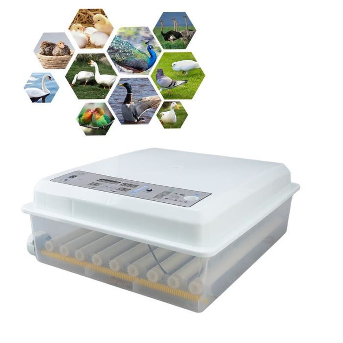 Incubateur Automatique Pour œufs - 10 à 25 œufs, Retournement Auto, 220V