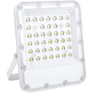 PROJECTEUR EXTÉRIEUR Projecteur LED Extérieur 30W Blanc Froid - Lampion