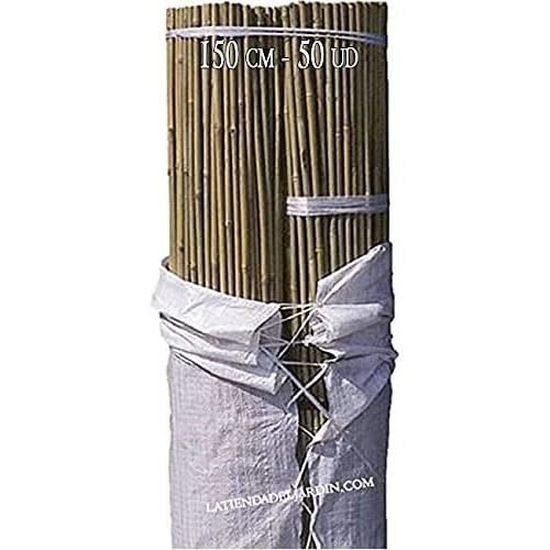 . 50 x Tuteurs en bambou 150 cm, diamètre 810 mm. Tuteurs pour plantes, baguettes de bambou