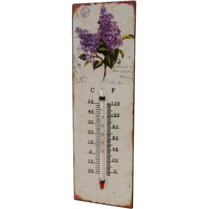 Thermomètre Mural Décoratif en Celsius ou Farenheit ou à Poser Motif -Floral- en Fer et Papier Vernis 0,5x8x25cm Multicolore