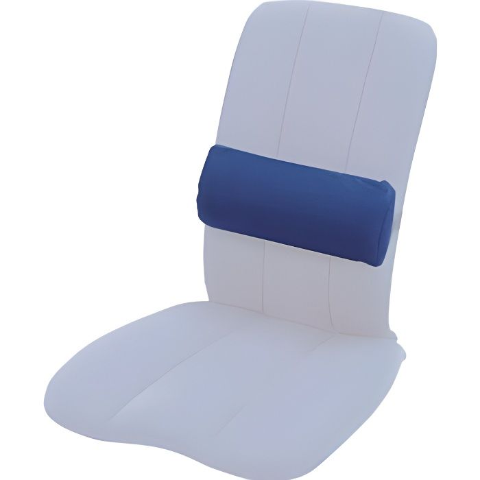 Sissel Coussin de soutien lombaire pour DorsaBack Noir SIS-121.009