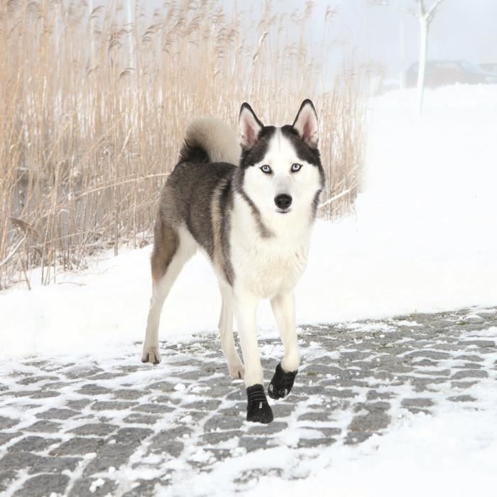 TRIXIE Bottes de protection Walker Active 2 pièces L - Noir - Pour chien