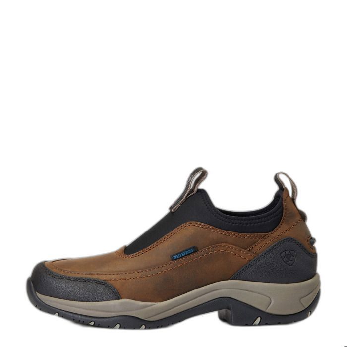 Chaussures décurie femme Ariat Terrain Ease H2O - oily distressed brown Chaussures décurie femme Ariat Terrain Ease H2O - oily distressed brown