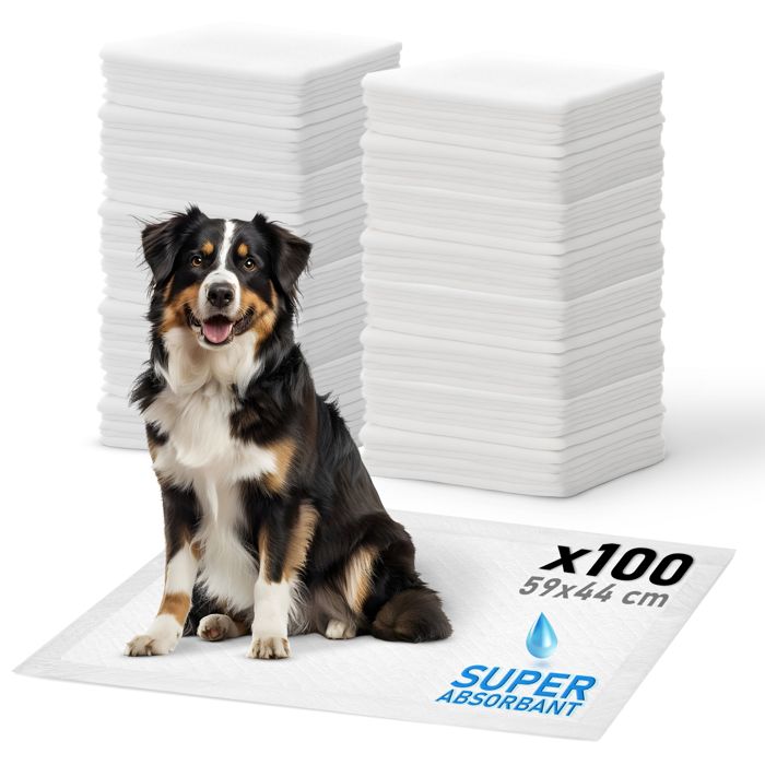 Iris Ohyama Tapis déducation et dressage pour chiens et chiots de 5 kg maximum - Pet Pad - NS-100W Blanc