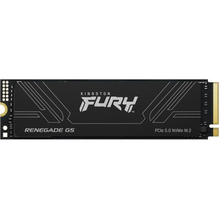 Kingston 4To NVMe Gen5 M.2 – Fury Renegade G5