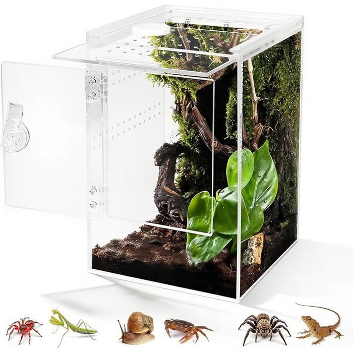 Ouverture Frontale Terrarium 360° Rectangle Vivarium 23x15x15CM Ventition Croisée Etanche Rectangle (23x15x15CM PERCHOIR
