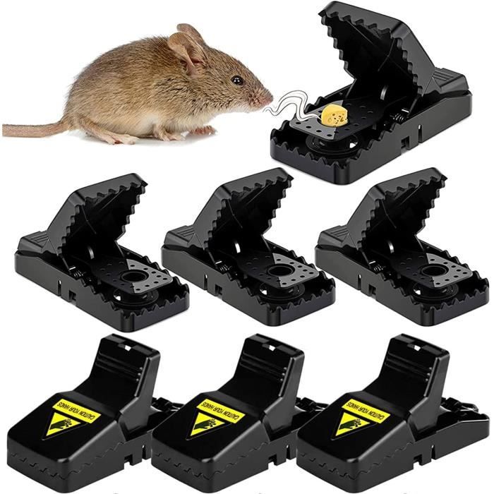 Grands Tapettes à Rats XXL 2 Pièces - Pièges à Souris Réutilisables Sensibles Intérieur Extérieur