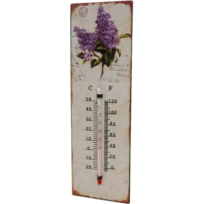 Thermomètre Mural avec Potence Décoratif avec Motif Fleur de Lys en Celsius  et Fahrenheit en Fonte Patinée Marron 5,5x9,5x27,5cm