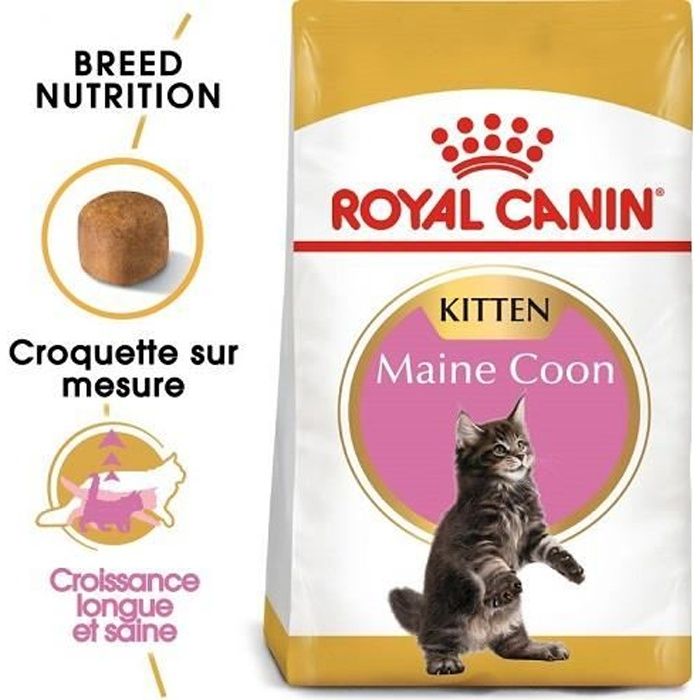 Royal Canin Maine Coon Kitten Pour Chaton 4 Kg Achat Vente Croquettes Royal Canin Maine Coon Kitt Cdiscount